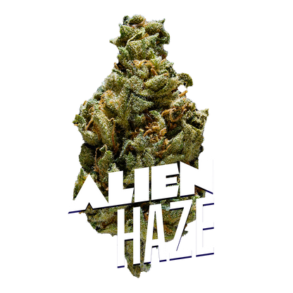 Alien Haze Premium Indoor Flower | 19% THC  3.5g