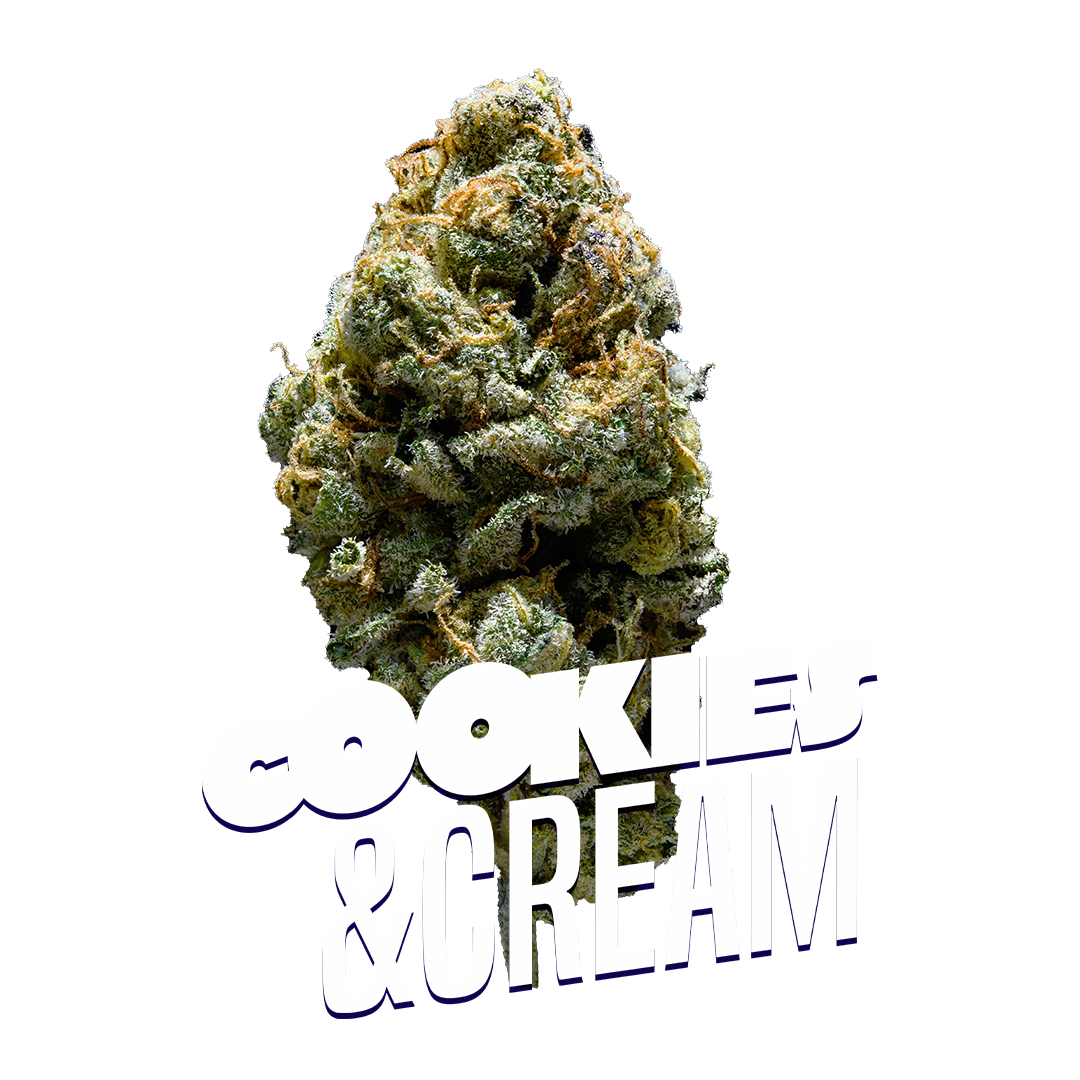 Cookies&amp;Cream Premium Indoor Flower | 26% THC  3.5g