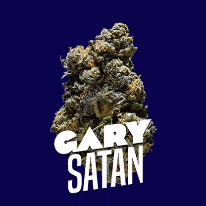 Gary Satan Premium Indoor Flower | 29% THC 3.5g