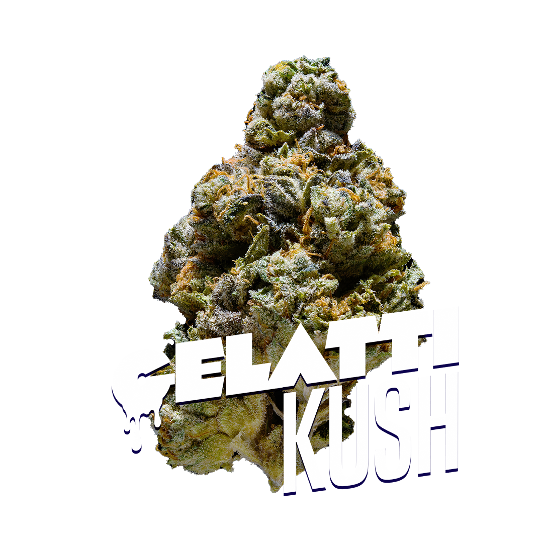 Gelatti Premium Indoor Flower | 23% THC 3.5g