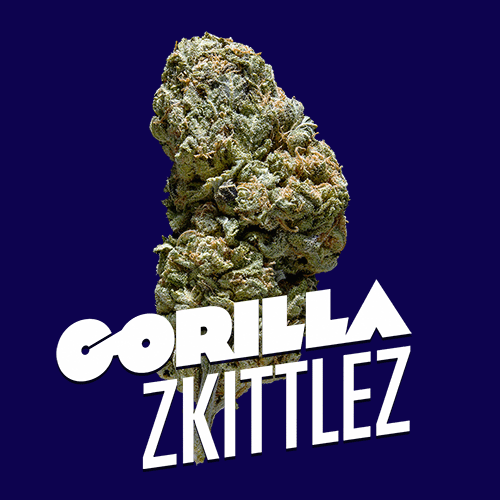 Gorilla Zkittlez Premium Indoor Flower | 25% THC 3.5g