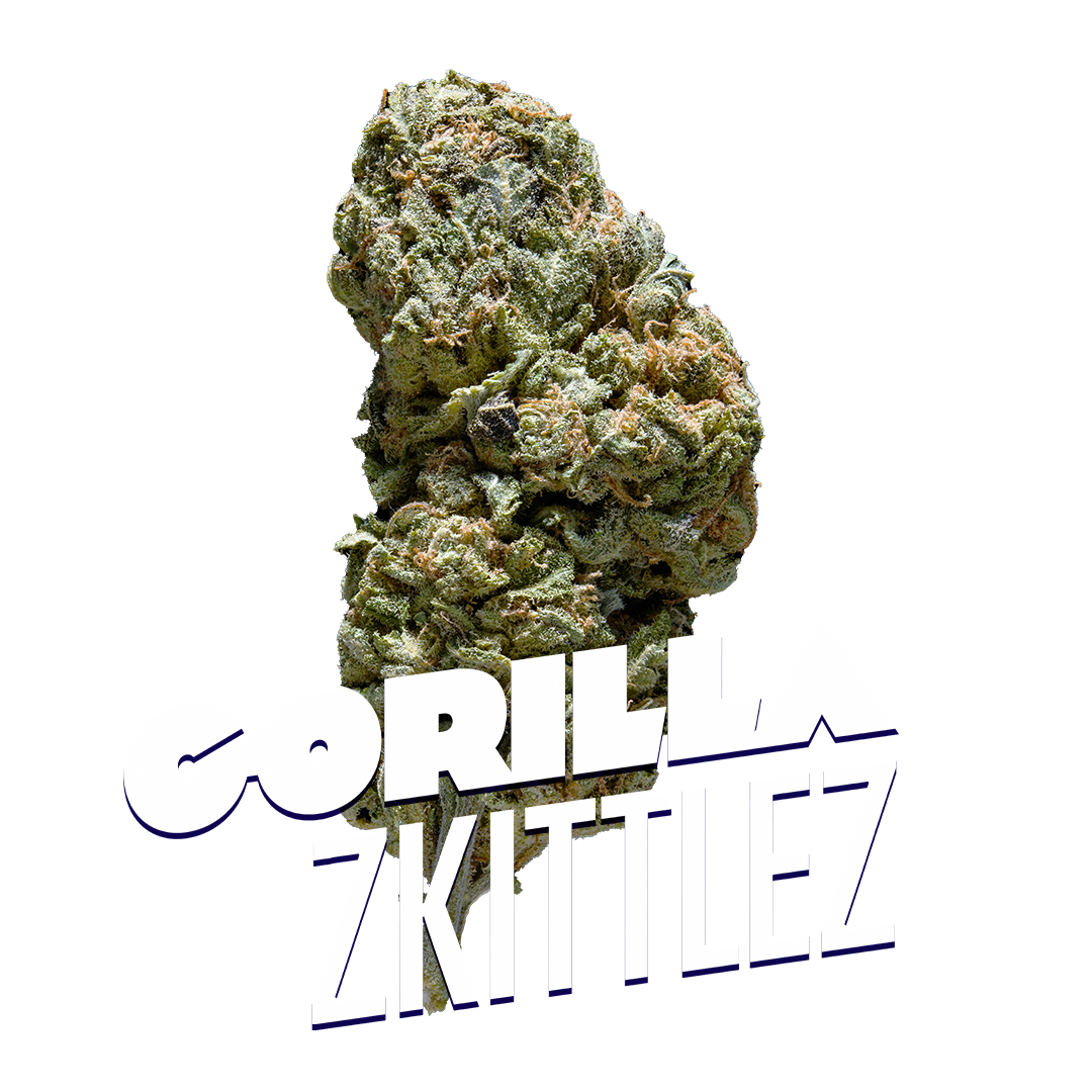 Gorilla Zkittlez Premium Indoor Flower | 25% THC 3.5g