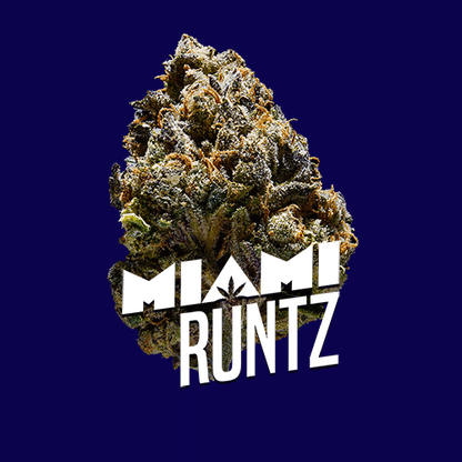 Miami Runtz Premium Indoor Flower | 28% THC 3.5g