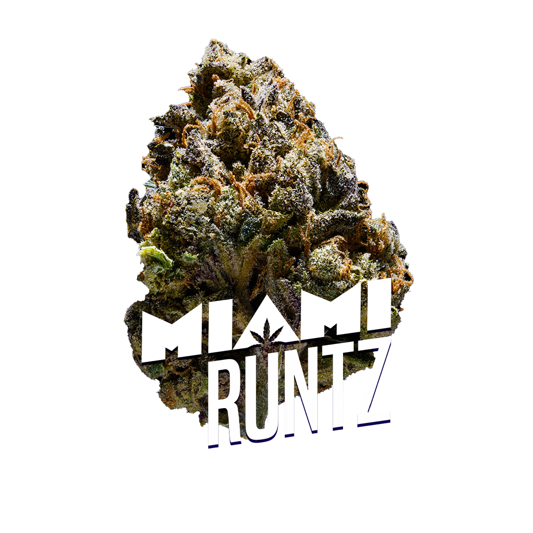 Miami Runtz Premium Indoor Flower | 28% THC 3.5g