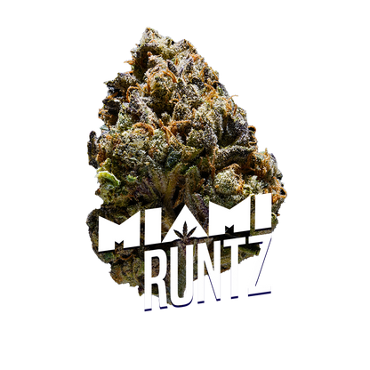 Miami Runtz Premium Indoor Flower | 28% THC 3.5g